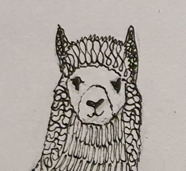 Alpaca Print Studio